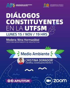 dialogos-constituyentes-01-api