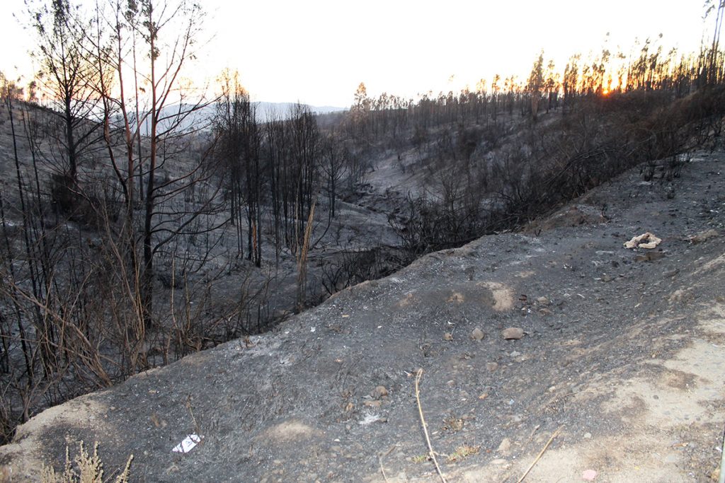incendio-valparaiso-cc-pnovoa
